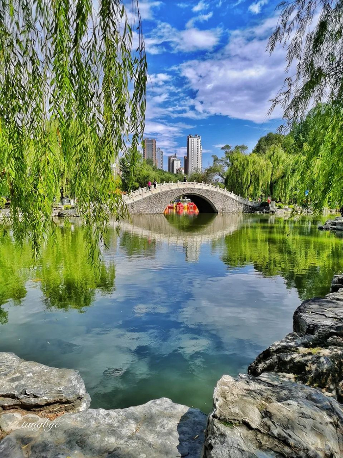 △西宁城区绿意盎然，乍一看像南方城市。/图虫创意