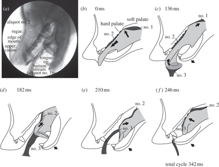 图片来源：参考文献【2】