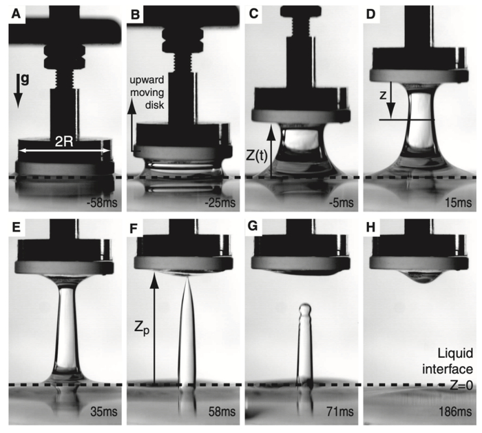 图片来源：参考文献【1】