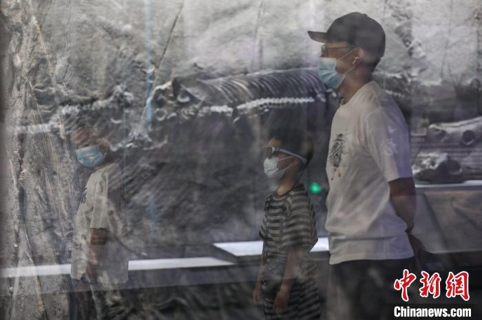 8月5日，参观者在参观晚三叠世时期的“梁氏关岭鱼龙”化石。　瞿宏伦 摄