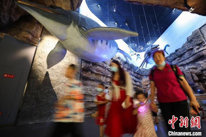 8月5日，参观者在贵州省地质博物馆“神秘贵州”展厅参观。　瞿宏伦 摄