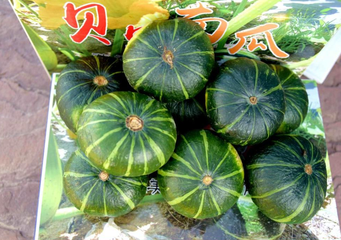 图源：新华网