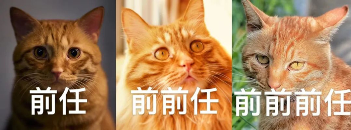 就是这样丨原图：图虫创意