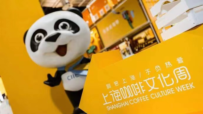 本文图片均来自上观新闻