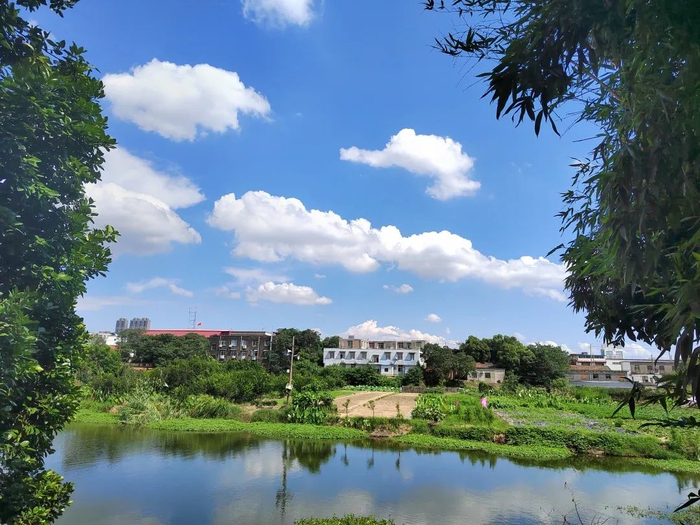 图源 | 小红书用户Atlo