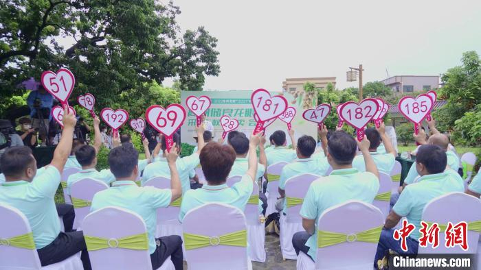 储良龙眼母树采摘权竞拍现场 伍惠麟 摄