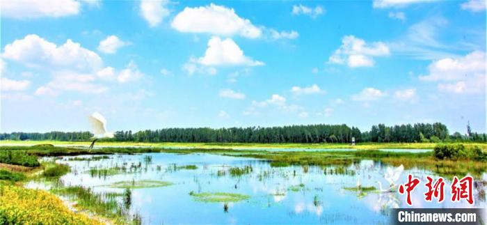 睢宁县委宣传部供图 顾士刚 摄