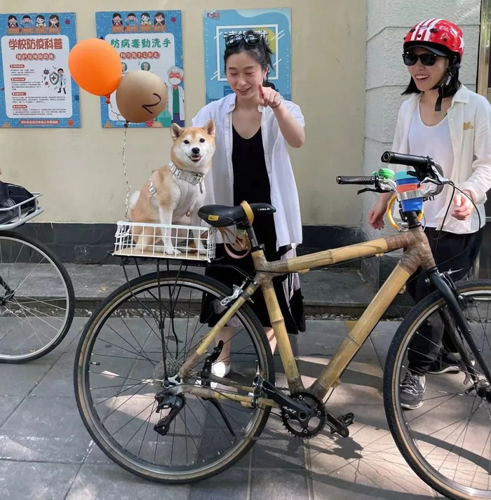 人与人之间发生联系并不难。        Brook and Breeze  图