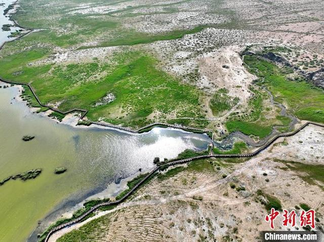 图为航拍都兰湖国家湿地公园。 祁增蓓 摄