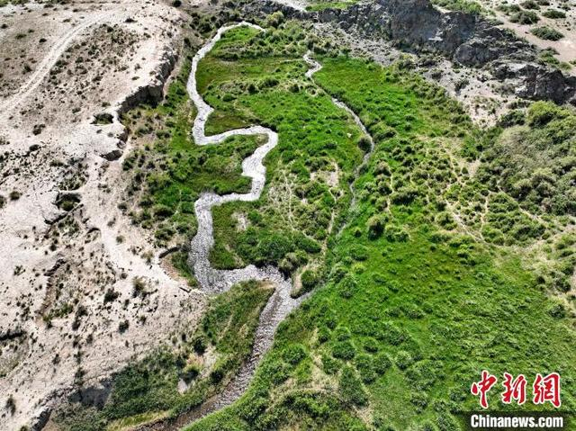 图为航拍都兰湖国家湿地公园绿意盎然。 祁增蓓 摄 