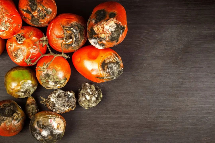 图库版权图片，不授权转载