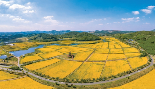 　　南京江宁区横溪街道溪田田园综合体。江宁区委宣传部供图