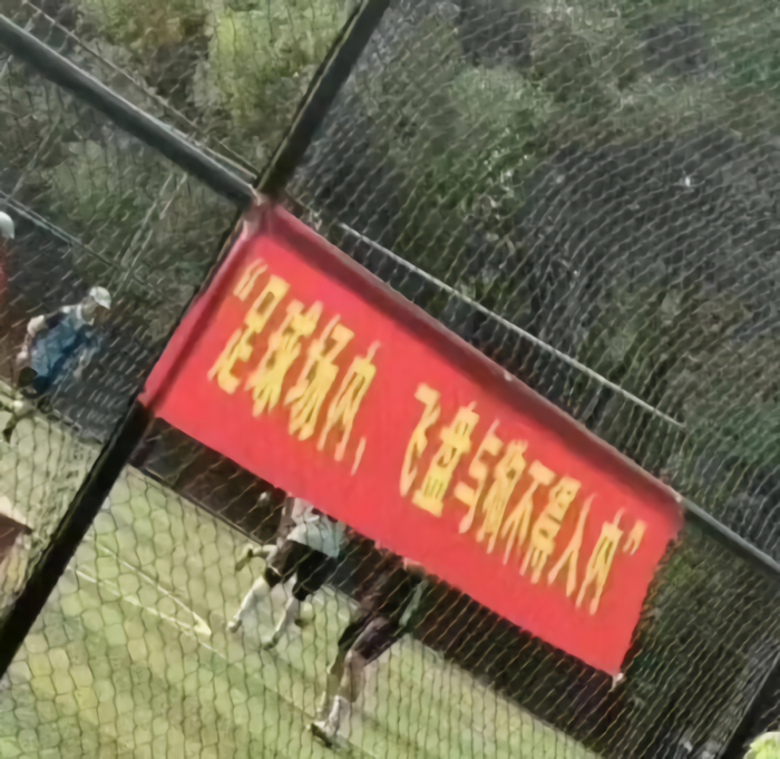 捍卫地盘，没在讲情面的。/图源网络