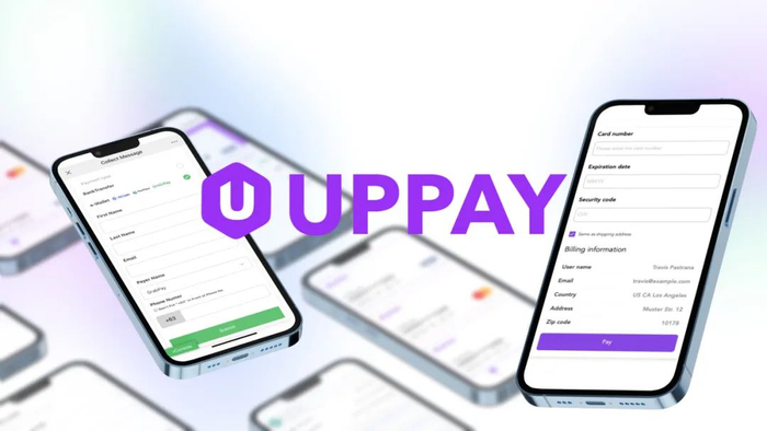 ▲图：UPPAY产品页面