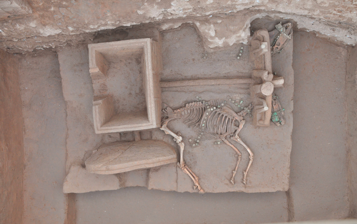 河南安阳殷墟遗址出土车马坑（《安阳殷墟大司空村东南地2015-2016年发掘报告》，《考古学报》2019年第4期）