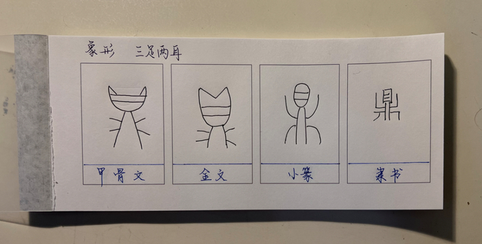 王欣雨的说文解字笔记