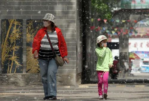 漫天飞舞的杨絮。新华社发