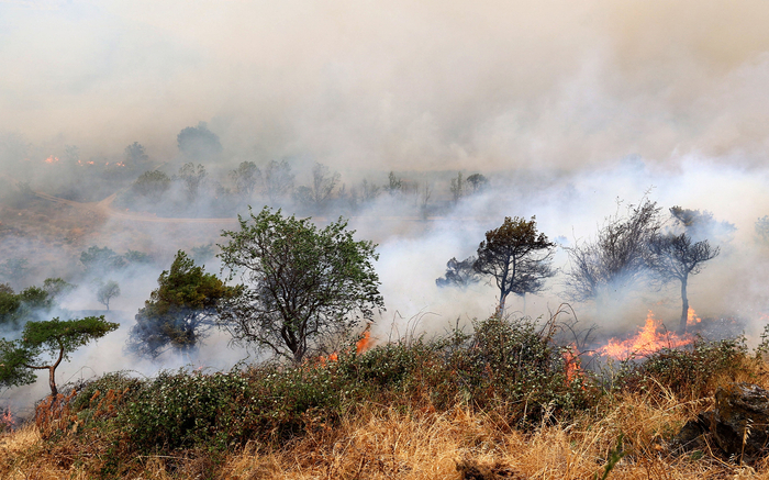 当地时间2022年8月13日，西班牙萨拉戈萨，蒙卡约发生火灾。