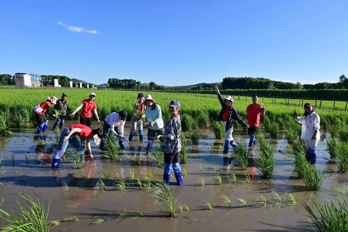 出发前，老师要求学生们“脚必须踩到泥水里”。 受访者供图