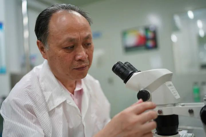 江风益在位于南昌高新区的实验室内工作（2022年8月5日摄）。新华社记者 周密 摄