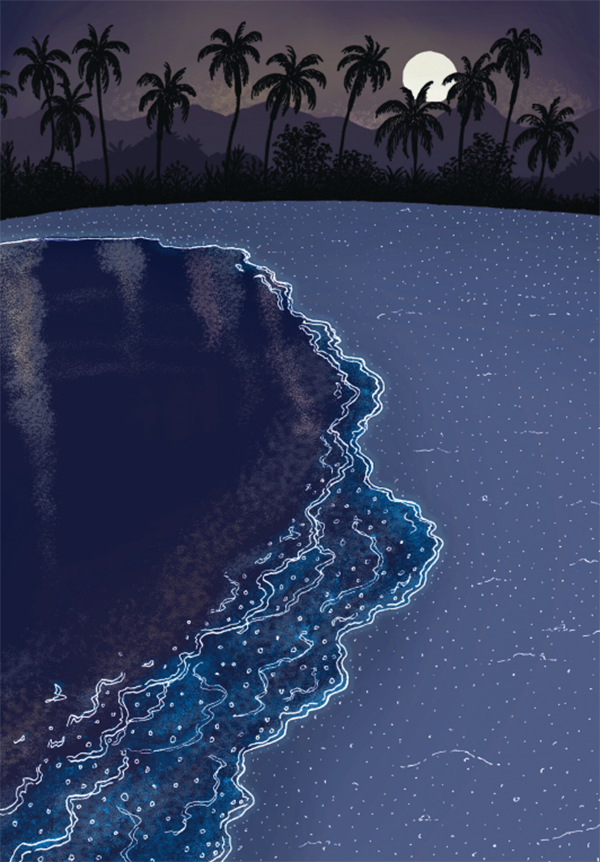 手绘浮游植物的海岸