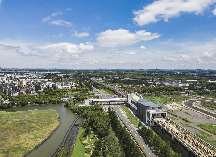 2019年8月11日，上海青浦区天气晴朗，阳光明媚。&nbsp; &nbsp;视觉中国 图