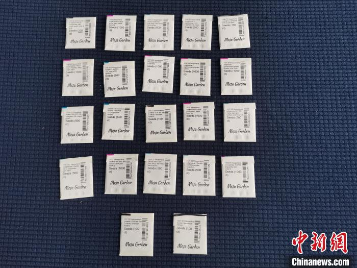 图为北京邮局海关关员查获的13000粒仙人掌种子。　孟晨 摄