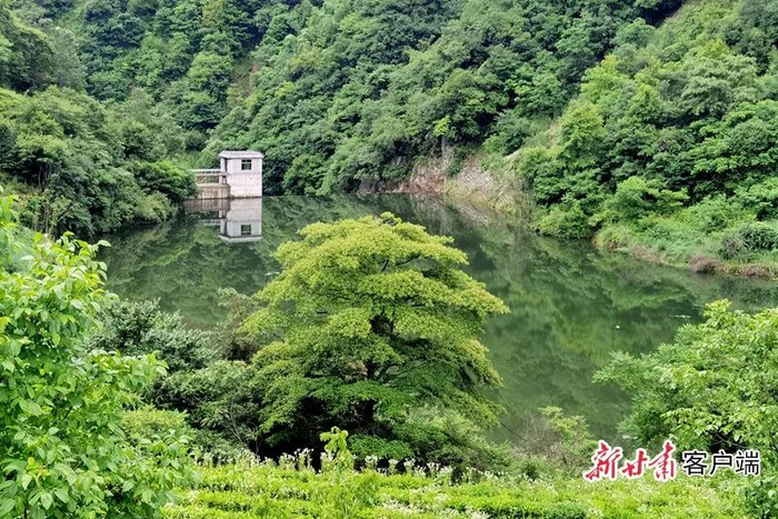 植被茂密的武都区裕河镇。