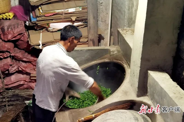 武都区裕河镇茶农进行传统手工制茶。