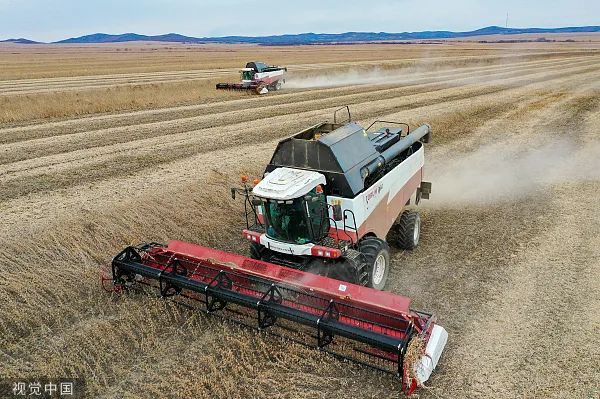 俄罗斯农企在收获大豆&nbsp;图源：视觉中国