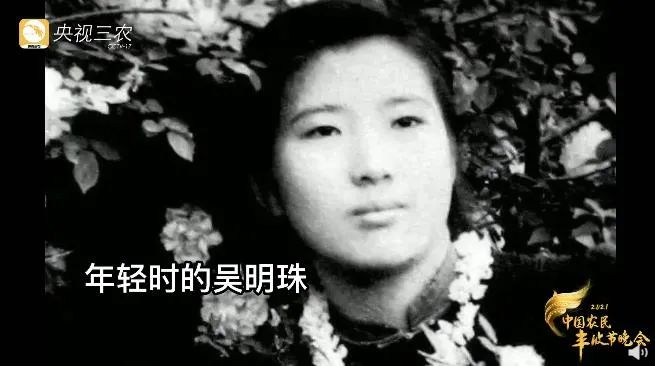 图源：央视三农视频截图‍