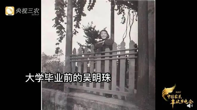 图源：央视三农视频截图