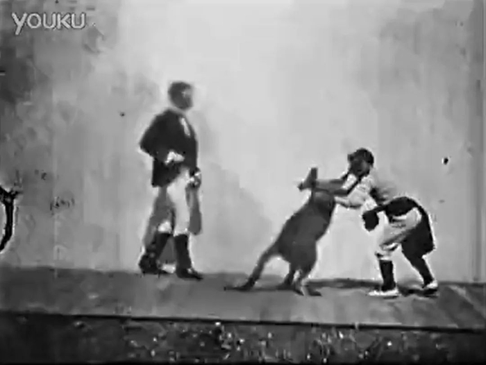 来源：电影《拳击袋鼠》截图