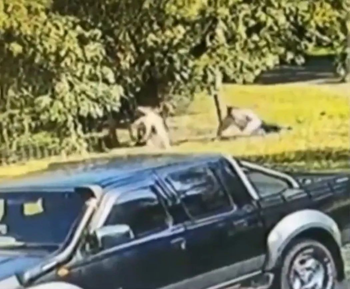 2022年6月，澳大利亚就发生了一起男子街头被袋鼠袭击的事件。来源：黑龙江新闻截图