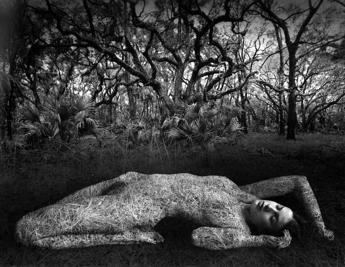 尤斯曼－无题， 1983