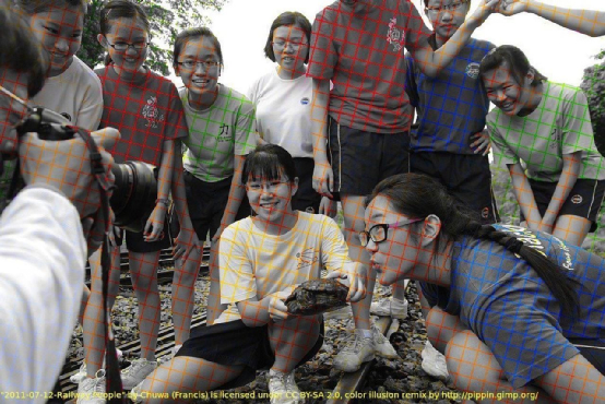 颜色同化网格视错觉图片  图源：stuarthumphryes（twitter）