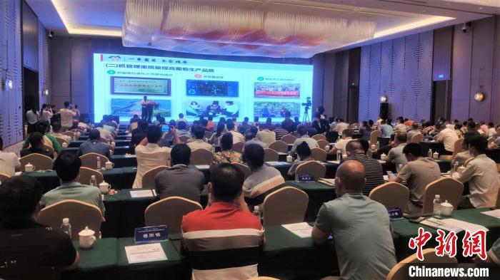 高峰论坛现场。　林鹏 摄