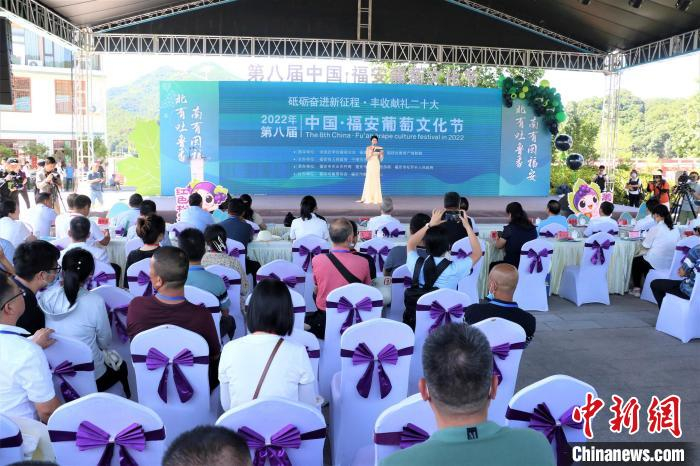 葡萄文化节现场。　王雯秋 摄