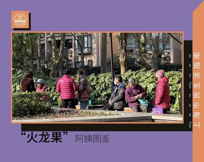 “火龙果”阿姨图鉴。图/@上海市民生活指南