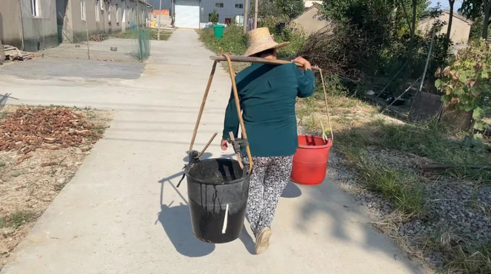 ▲2021年9月12日下午，朱大红挑水准备浇地。新京报记者 左琳 摄