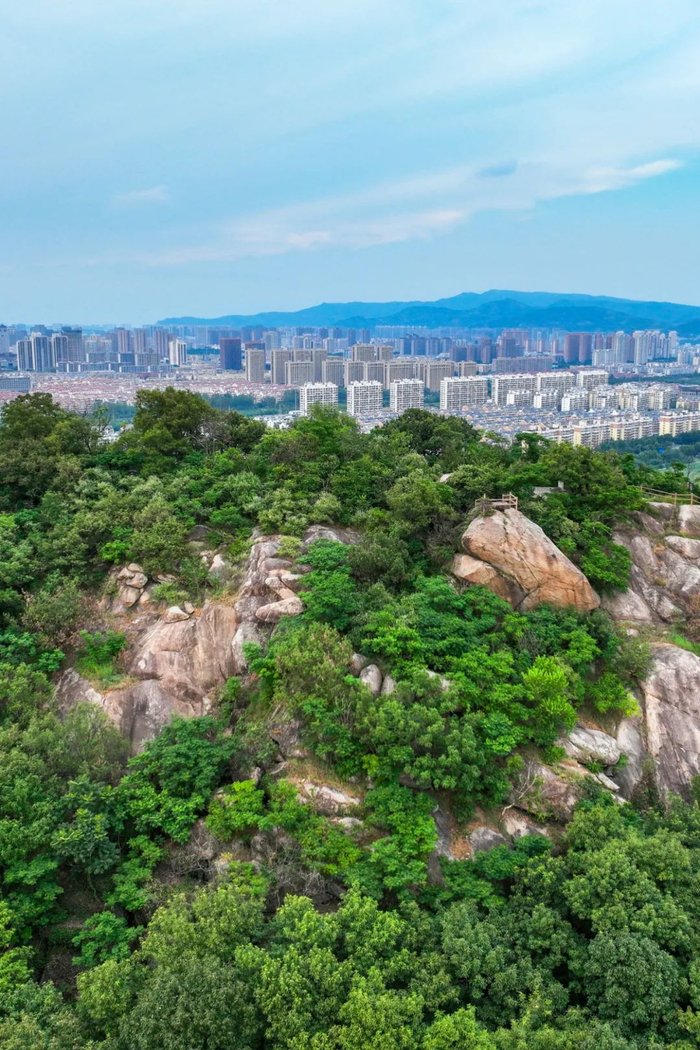 从孔望山顶望向连云港市区。摄影/李琼