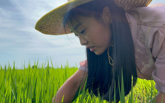 中国农业科学院植物保护研究所副研究员闫晓静在田里视察。新京报记者 周怀宗 摄