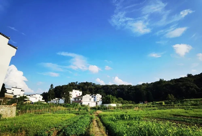 除标注外，本文图片均为俞俭摄