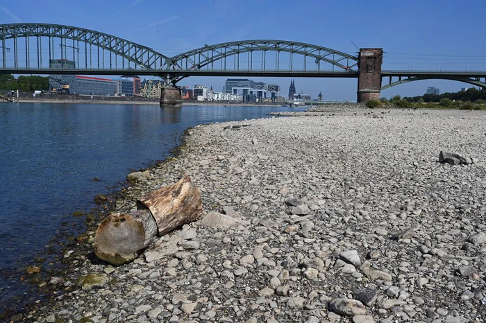 2022年8月13日，低水位的莱茵河。图｜IC photo