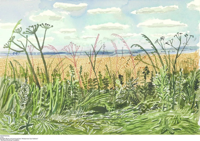 《路边植物与景观》（出自“东约克郡的仲夏”系列），大卫·霍克尼，2004年，大卫·霍克尼基金会