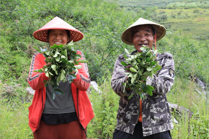 图源：云南日报