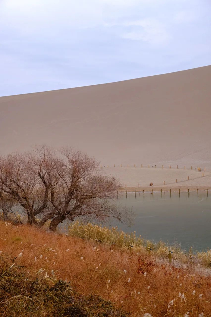 △ 酒泉坐拥甘肃大部分的极致风光。/ 图虫