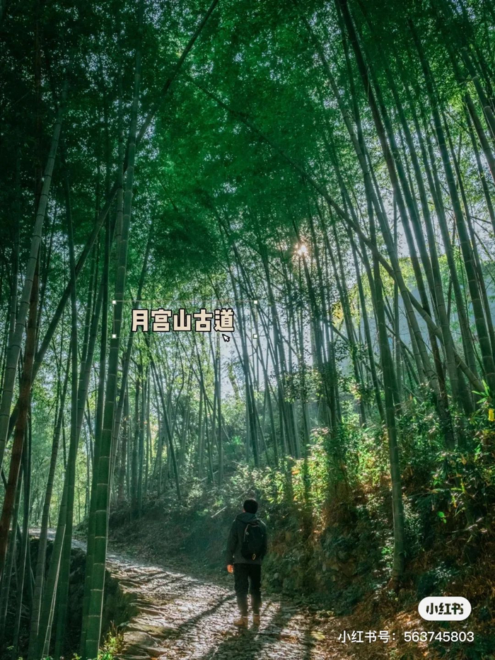 　2022年4月，好神奇和小蚊子在宁波月宫山古道徒步。图片来源：小红书@好神奇和小蚊子