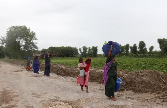 当地时间2022年8月25日，巴基斯坦Nawabshah，暴雨过后，洪水淹没了大部分道路。图源：澎湃影像