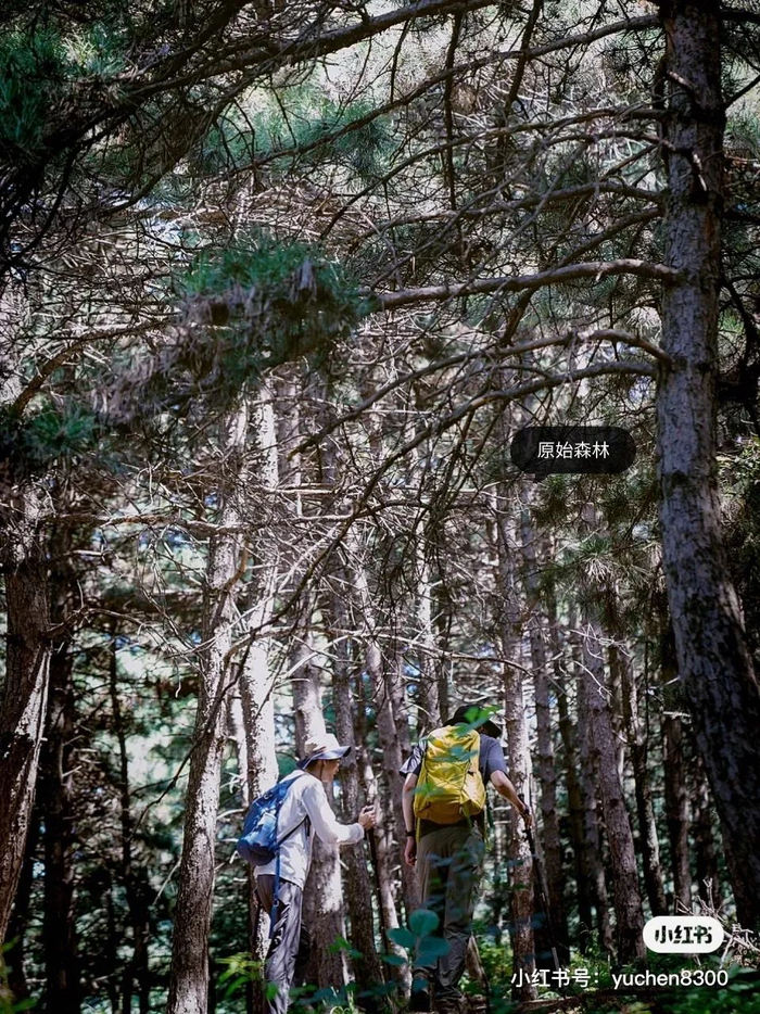 　2022年，坨本坨在门头沟老龙窝徒步。图片来源：小红书@坨本坨